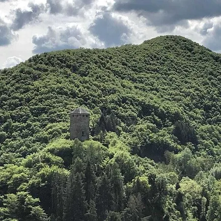 Old Winemaker's House Muentnich * Трайс-Карден