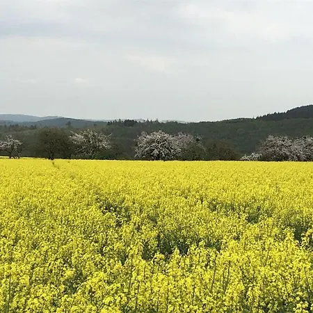 Дом отдыха Old Winemaker's House Muentnich