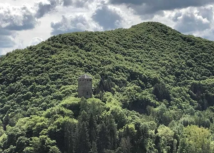 Old Winemaker's House Muentnich * Treis-Karden