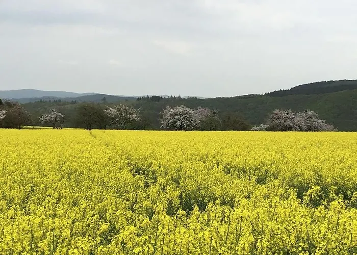 Semesterbostad Old Winemaker's House Muentnich